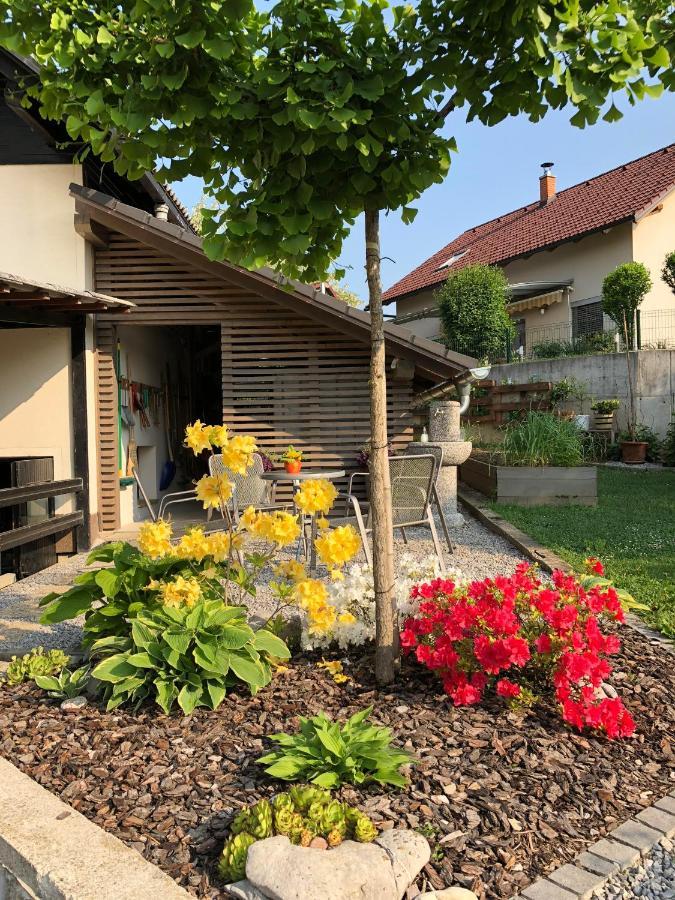 Apartma Nomad โนโวเมสโต ภายนอก รูปภาพ