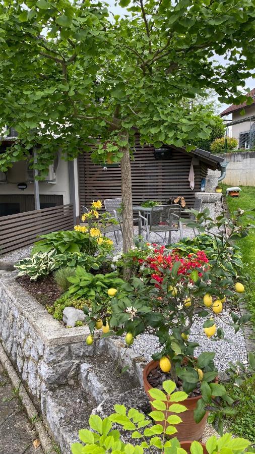 Apartma Nomad โนโวเมสโต ภายนอก รูปภาพ
